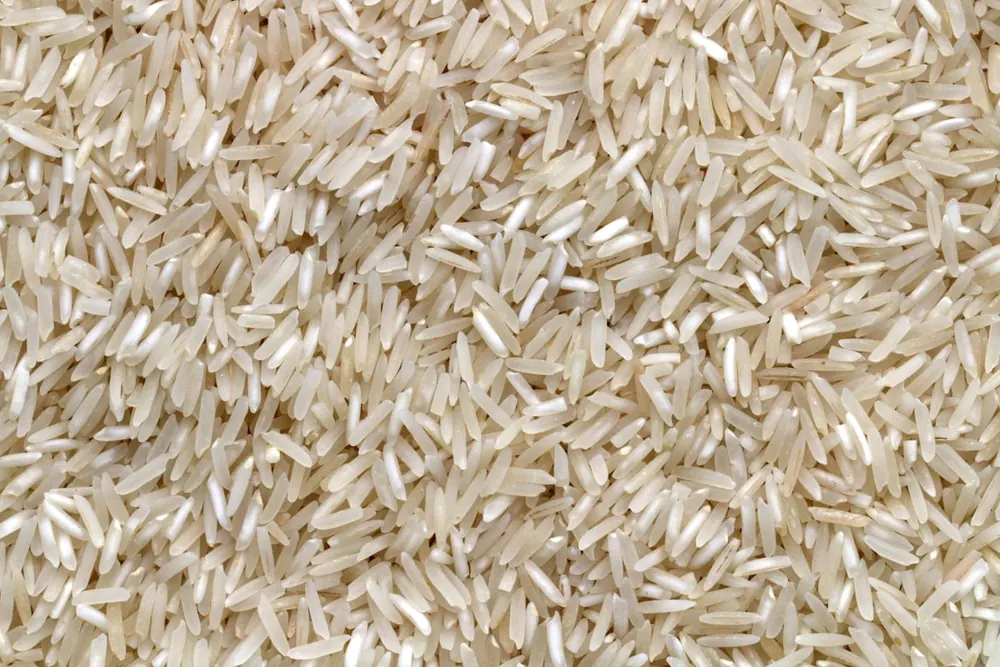 Barnyard Millet product visual for export sourcing