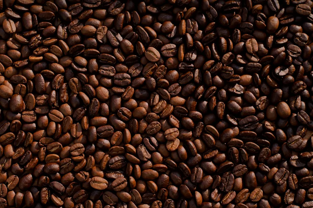 Coffee — Monsooned Robusta product visual for export sourcing