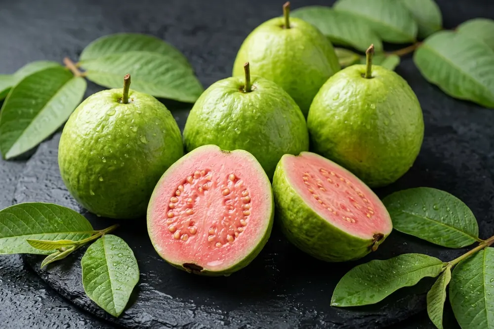 Guava product visual for export sourcing