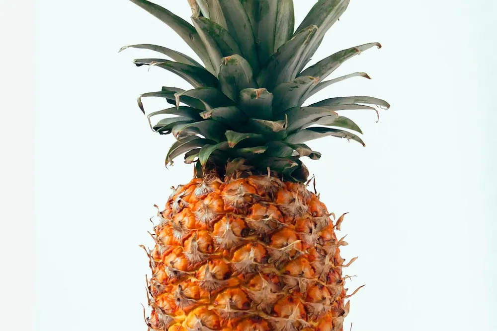 Pineapple product visual for export sourcing