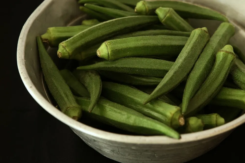 Okra product visual for export sourcing