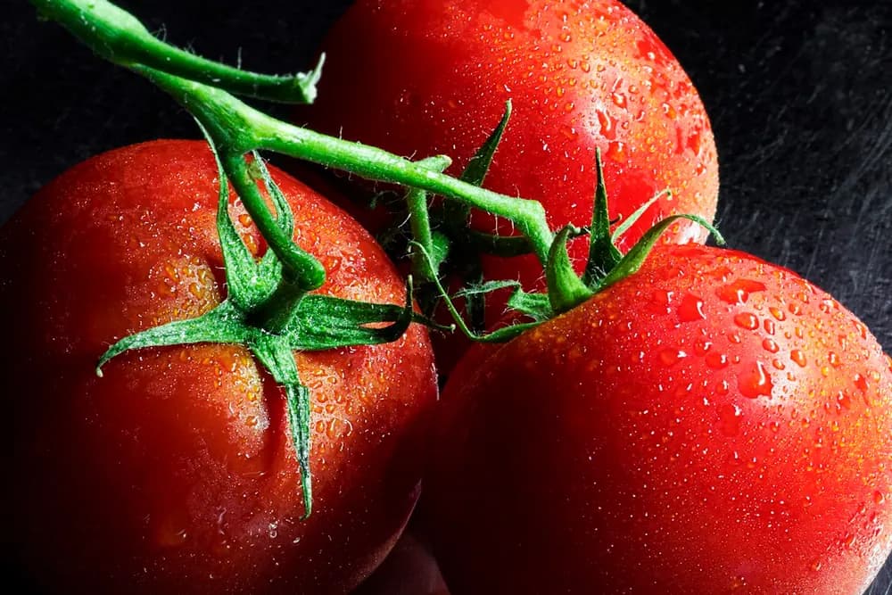 Tomato product visual for export sourcing