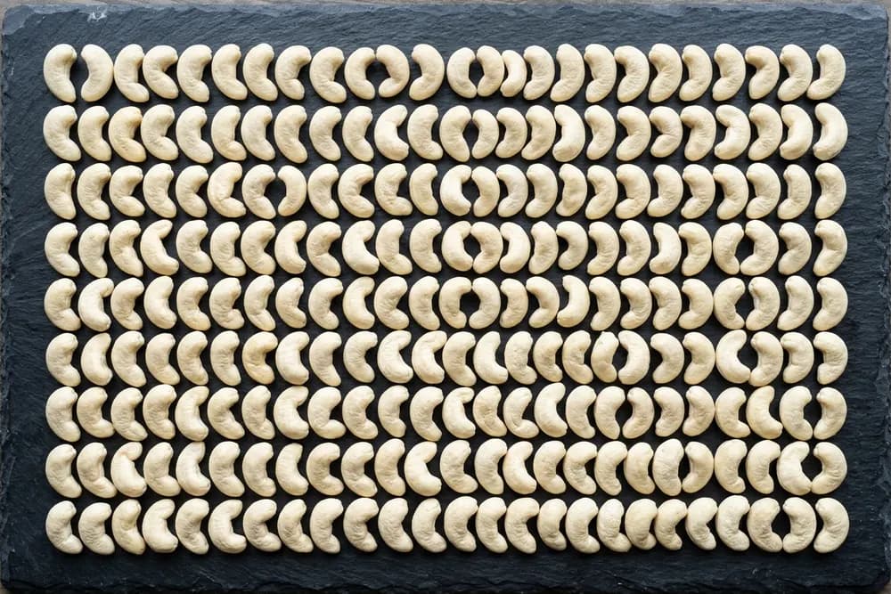 Cashew Kernels — Calibrated Size product visual for export sourcing