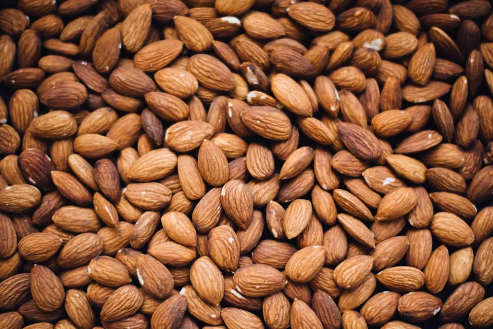 Walnuts — Pieces product visual for export sourcing