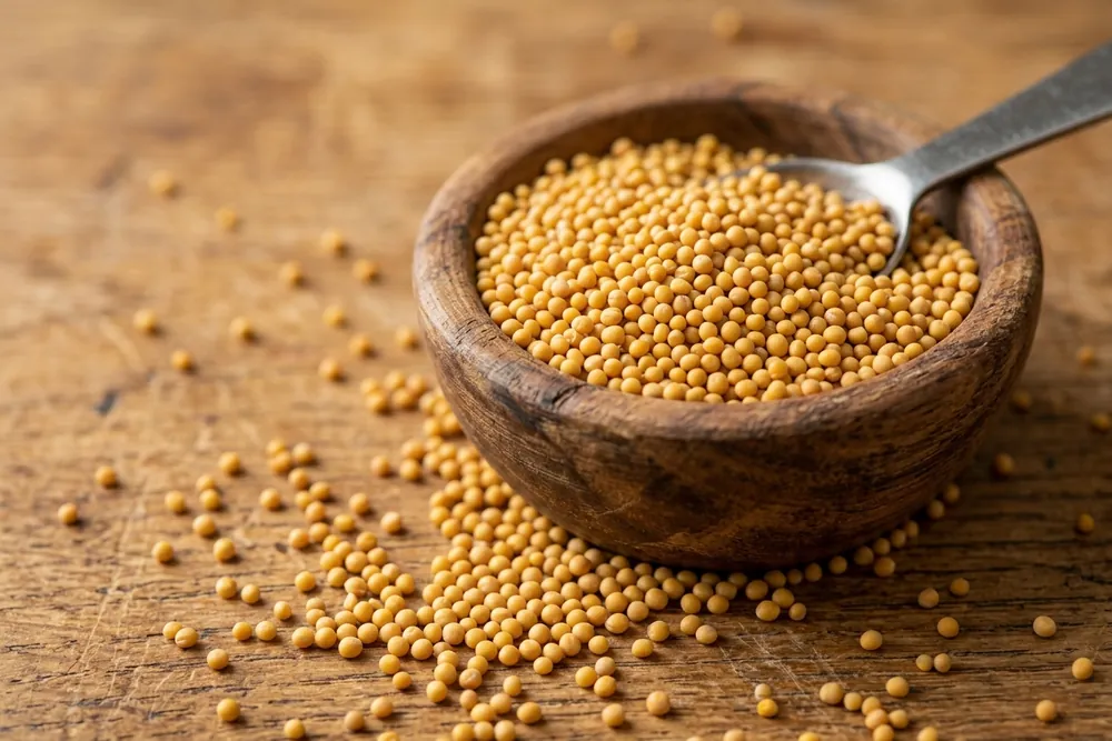 Mustard Seed (Yellow) product visual for export sourcing