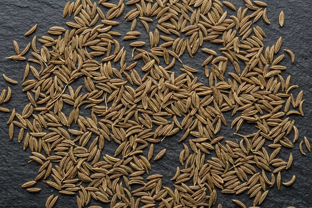Cumin product visual for export sourcing