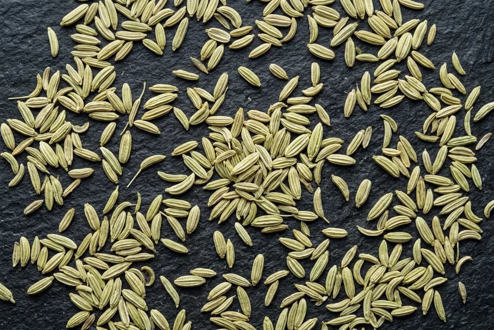 Fennel Seed product visual for export sourcing