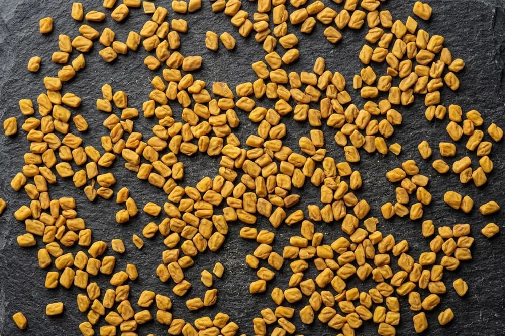 Fenugreek product visual for export sourcing