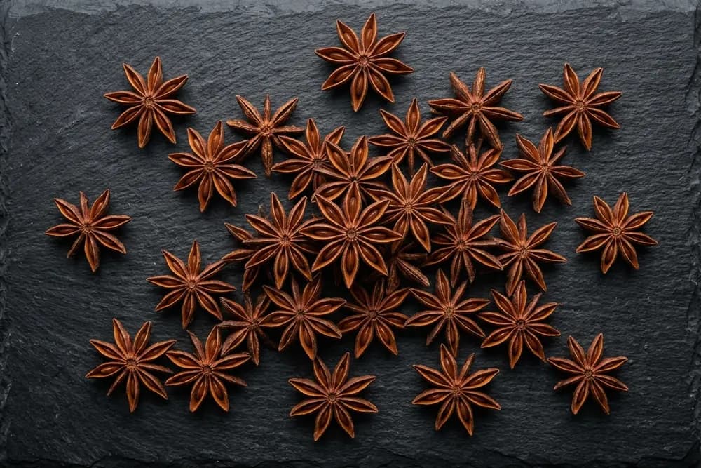 Star Anise product visual for export sourcing